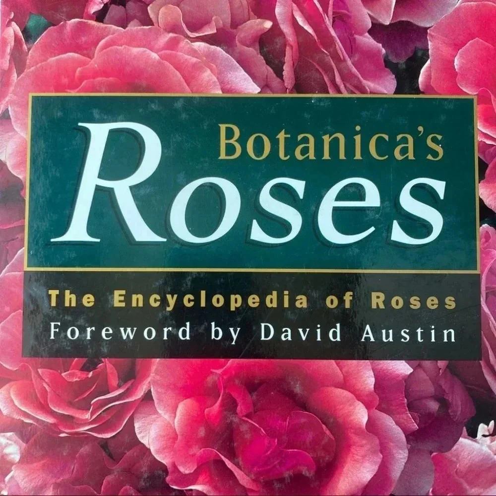 Botanica’s Roses - Picture 3 of 5